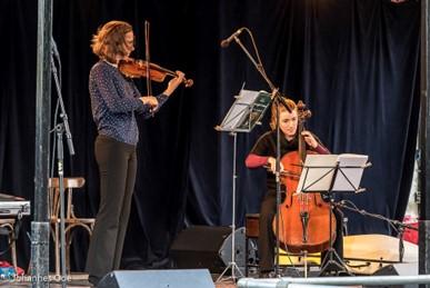 Muziek op de Rotte